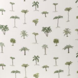 COCONUT GROVE ON WHITE