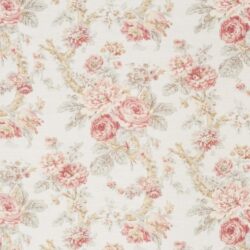 Damask Rose