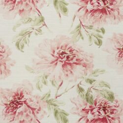 Great Dahlia